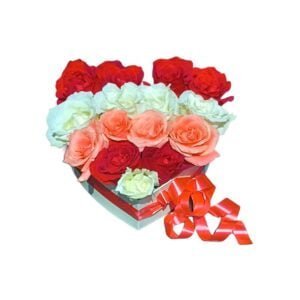 Livraison Fleurs Maroc à domicile, grâce à nos artisans fleuristes, Prix abordables a 99Dhs et service Rapide et pour toutes les occasions 7J7 24h, Oricago, Fleuriste Casablanca, Fleuriste Rabat, Fleuriste Marrakech, Fleuriste Mohammedia, Fleuriste Bouskoura, Fleuriste Tanger, Livraison Fleurs Casablanca, Livraison Fleurs Rabat, Livraison Fleurs Marrakech, Livraison Fleurs Mohammedia, Livraison Fleurs Bouskoura, Livraison Fleurs Tanger.